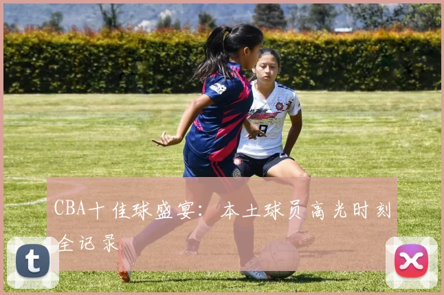 CBA十佳球盛宴：本土球员高光时刻全记录