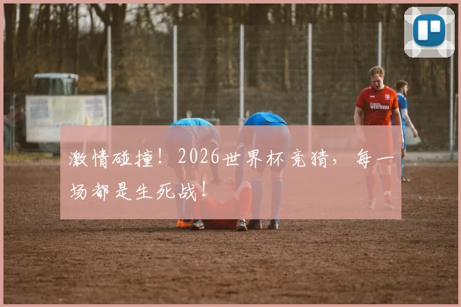 激情碰撞！2026世界杯竞猜，每一场都是生死战！