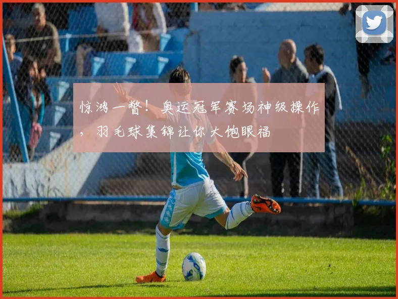 惊鸿一瞥！奥运冠军赛场神级操作，羽毛球集锦让你大饱眼福
