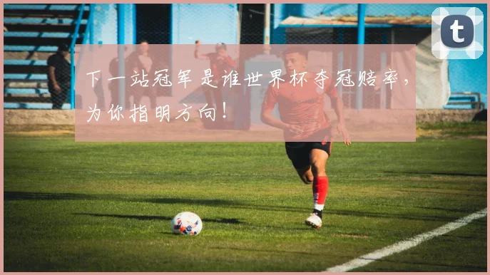 下一站冠军是谁世界杯夺冠赔率，为你指明方向！
