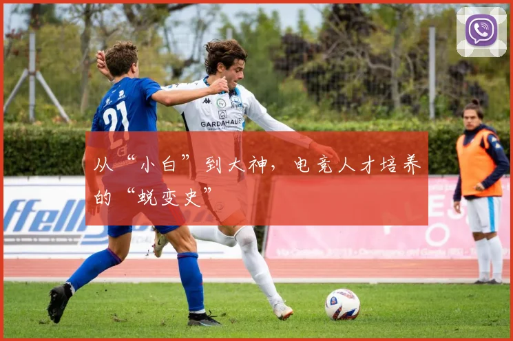 从“小白”到大神，电竞人才培养的“蜕变史”