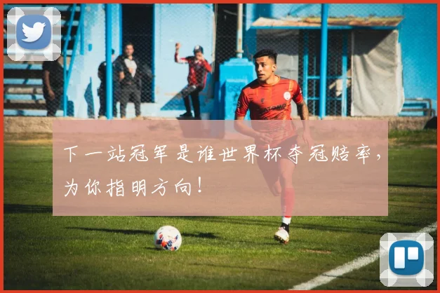 下一站冠军是谁世界杯夺冠赔率，为你指明方向！