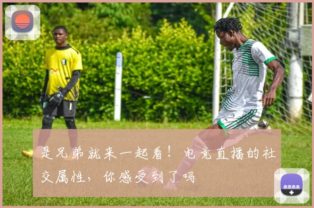 是兄弟就来一起看！电竞直播的社交属性，你感受到了吗
